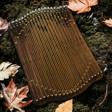 Charger l'image dans la galerie, Harpika chromatique 41S POOPOOPIDOO -NIGHTFLYER- Black walnut