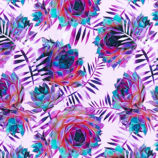 Hybride bébé TERRY 1.2.3! "DAHLIA"