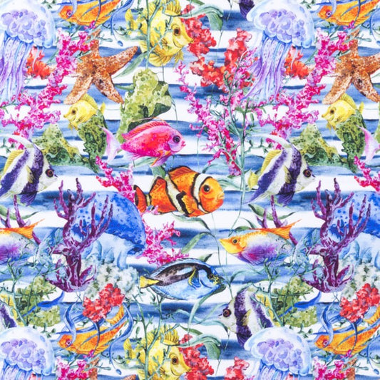 Preplate BasIC Terry Baby "AQUARIUM"